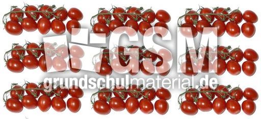 Tomaten9x10.jpg